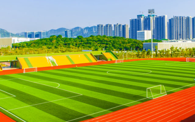 毕业季,重温在深大的那份炙热 | 毕业图鉴之运动系列