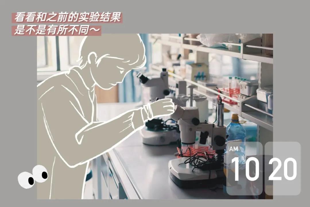 送你这本plog手帐,解锁深大人的一天!
