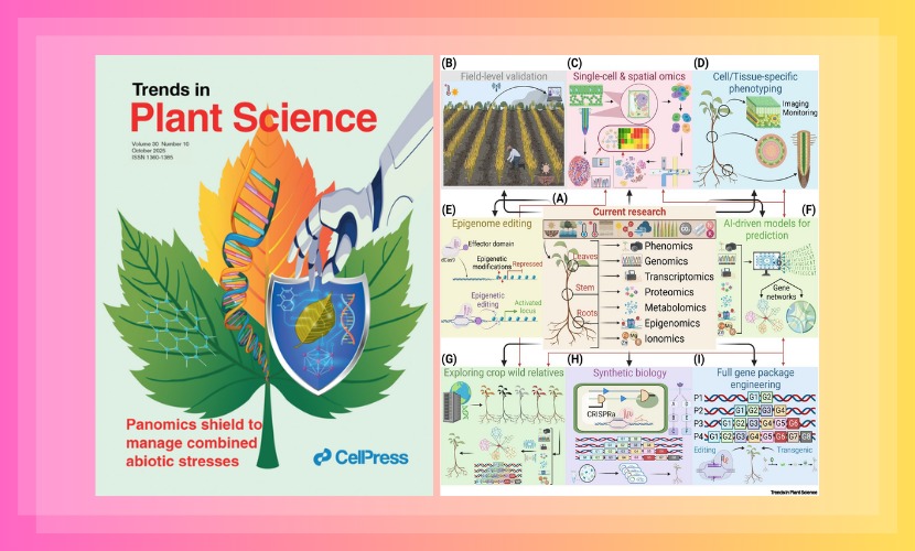 生命与海洋科学学院胡章立课题组发表植物应对多重非生物胁迫的封面论文