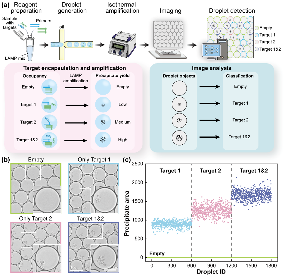 202401051420262852.png 202401051420262852.png