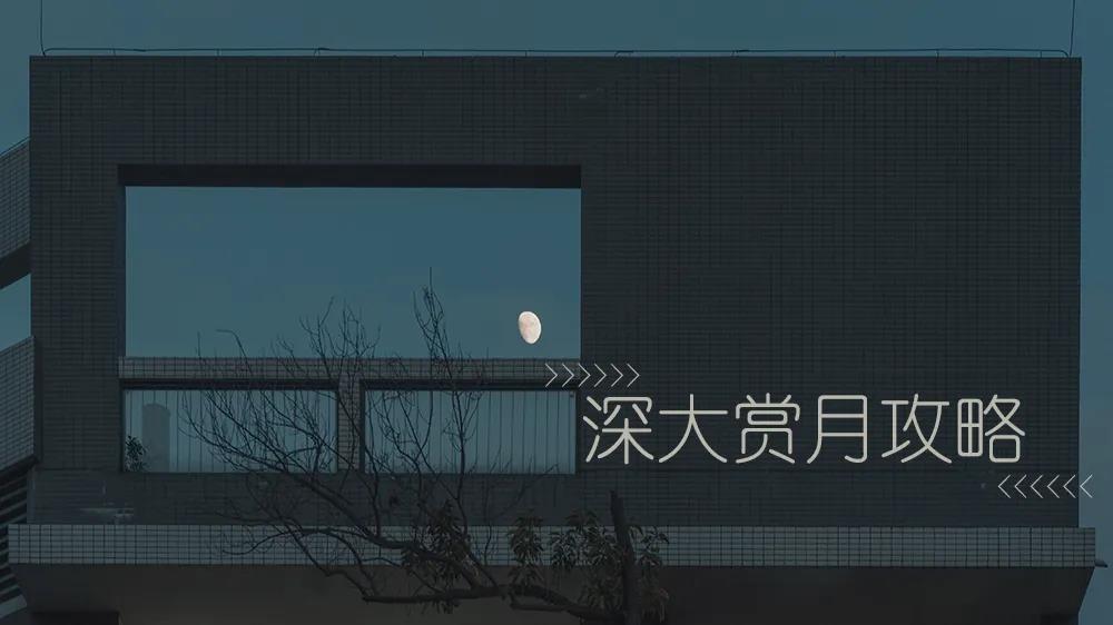 不知道去哪里赏月?收下这份深大中秋赏月攻略!